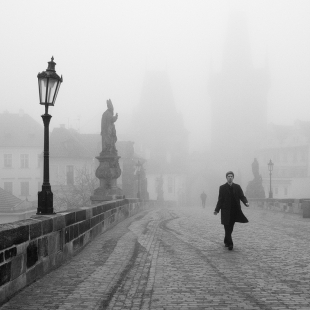 Mlžná vycházka, fotografie č. 31