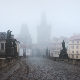 Mlžný podzim, fotografie č. 73