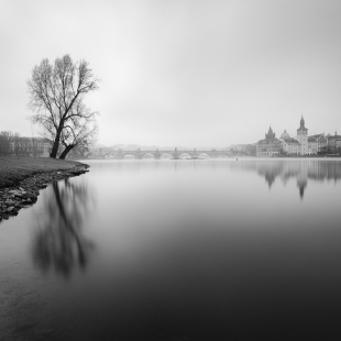 Náklonnost, fotografie č. 82