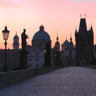 Růžové panorama, fotografie č. 53